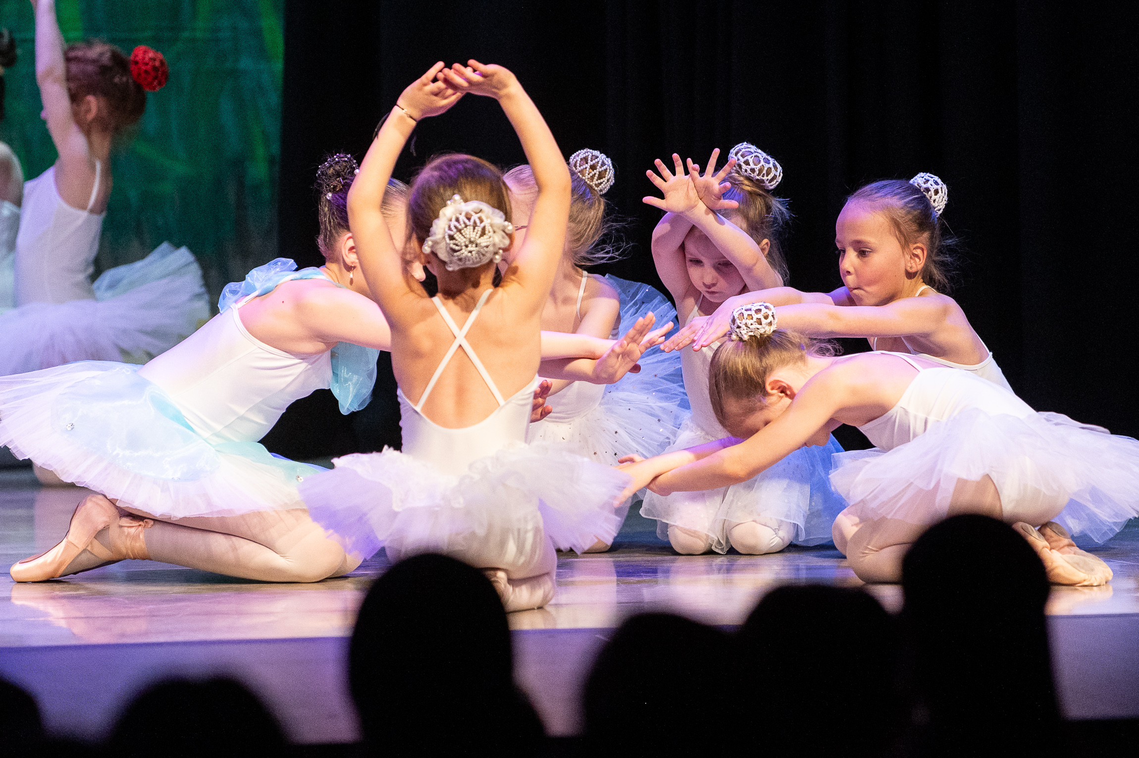 Ballettabend 2024 – Bühnenfoto